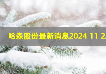 哈森股份最新消息2024 11 22